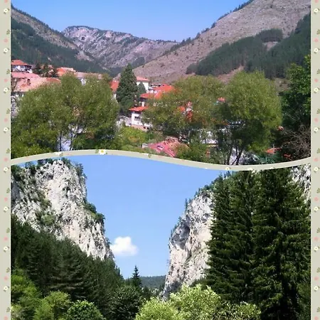 Zora Πανσιόν Beden